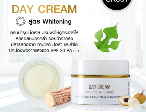 Day Cream Whitening